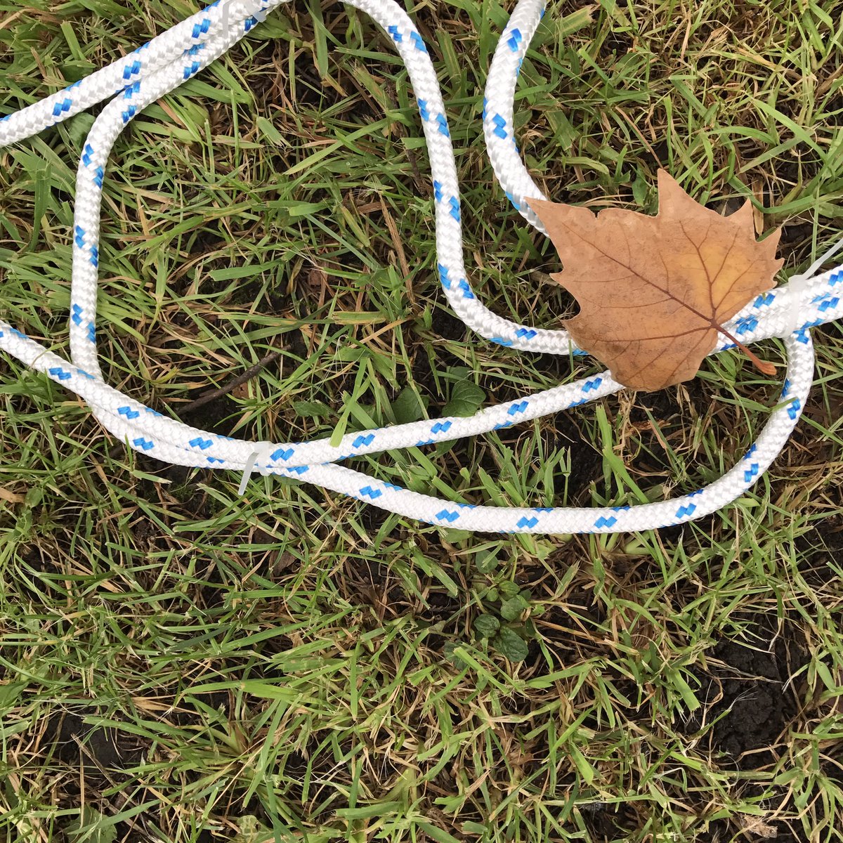 o_gabbyo's tweet photo. Installing @SuterGallery and finding some nice #autumnaledges #artxscience #theunseenartxsci #artscienceandcommunity https://t.co/ABb2Wel66T