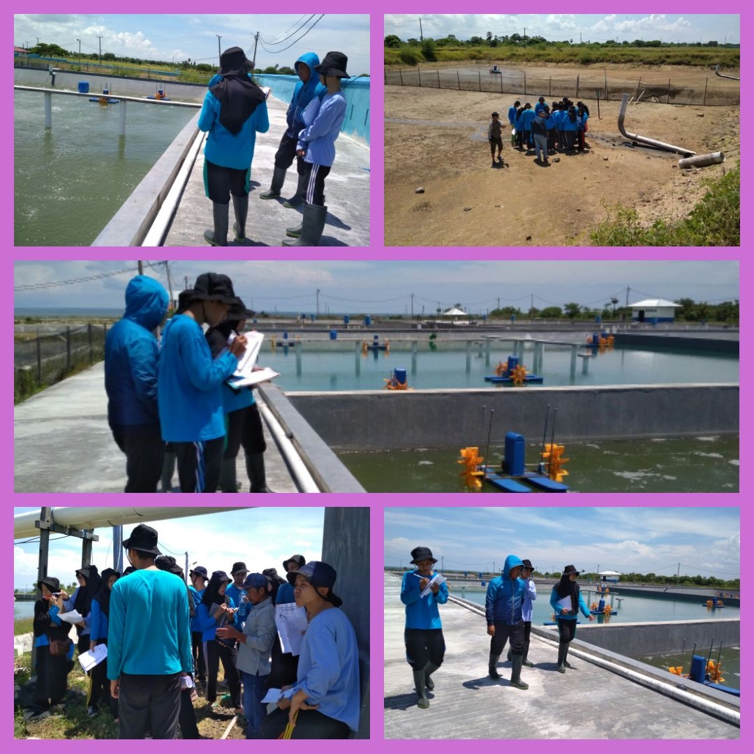 bppsdm_brpbappp's tweet photo. Dukungan Instalasi Takalar untuk pendidikan. Field trip mahasiswa FIKP UNHAS  u/praktek sampling,  pengenalan budidaya tambak intensif dan super intensif, polikultur, pemeliharaan calon induk udang windu dan pengelolaan limbah budidaya dengan IPAL.
#RisetdanSDMKP 
@brsdm_kp https://t.co/YWiIexl3Dk