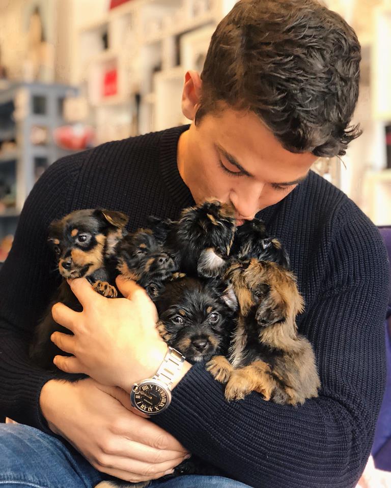 stopyulinforevr's tweet photo. Show us how you're celebrating #NationalPuppyDay! 🐶🐶🐶 https://t.co/JEjpWO33Zg
