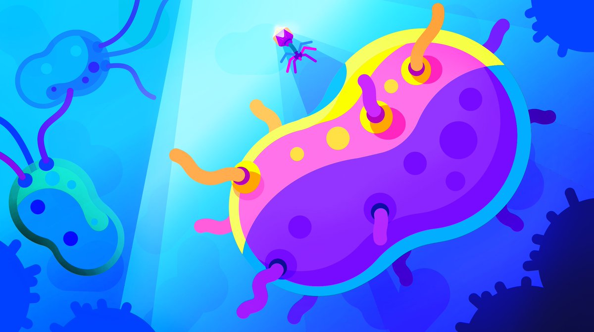 Kurzgesagt wallpapers