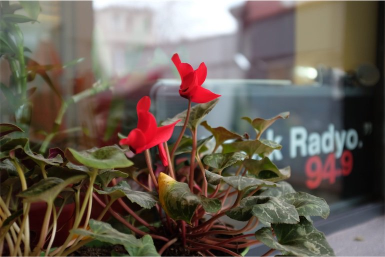 acikradyo's tweet image. 15. Açık Radyo Dinleyici Destek Projesi Özel Yayını&apos;nın ilk günündeyiz. Bugünkü (24 Mart 2018) yayın akışımız şöyle: bit.ly/2pBUw1a