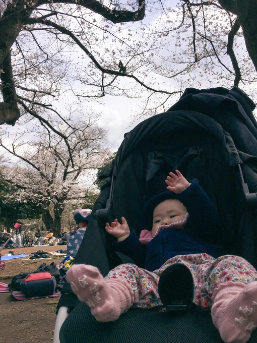 とりあえず1花見キメてきた。ヨイショー!という娘。 