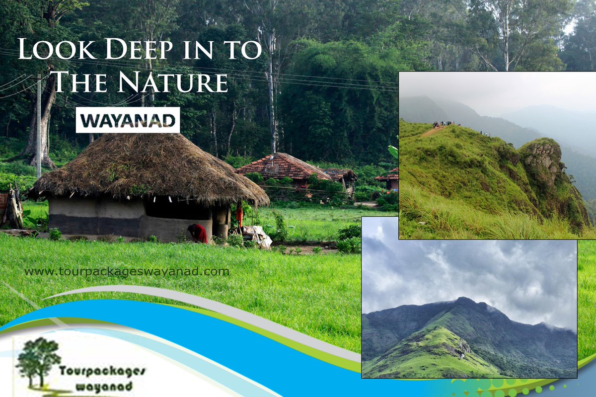 laquin_mary's tweet photo. Look deep into the nature, and then you will understand everything better....
 #wayanadtourpackages #keralatourpackages #wayanadtourismpackages #wayanadhoneymoonpackages #trip #offers #bestdestinations #wayanadtouristpackages #tourism
 https://t.co/wToYZKWEKj.
 9840850401 https://t.co/q2blmc5H4t
