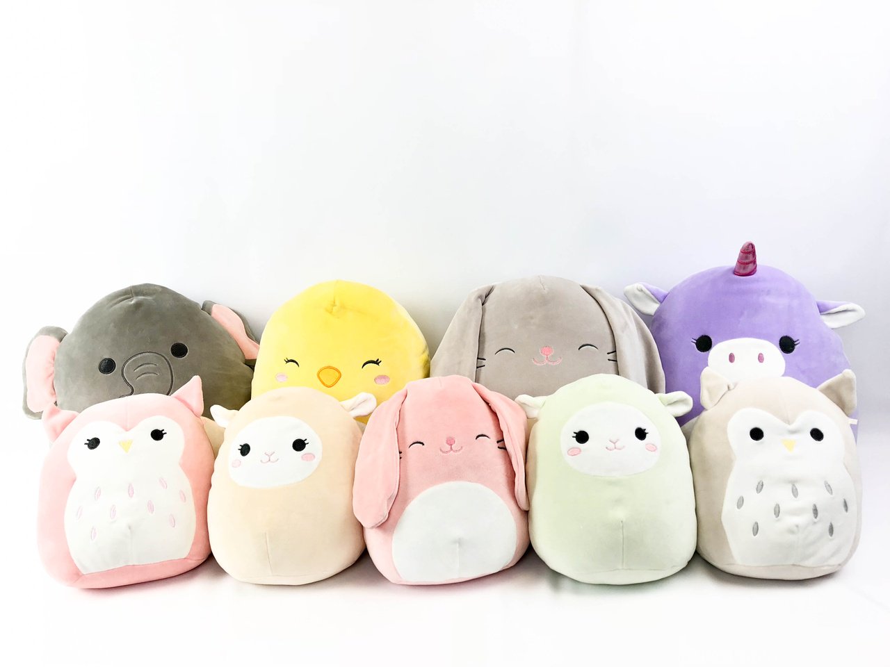 The baby squad has arrived 