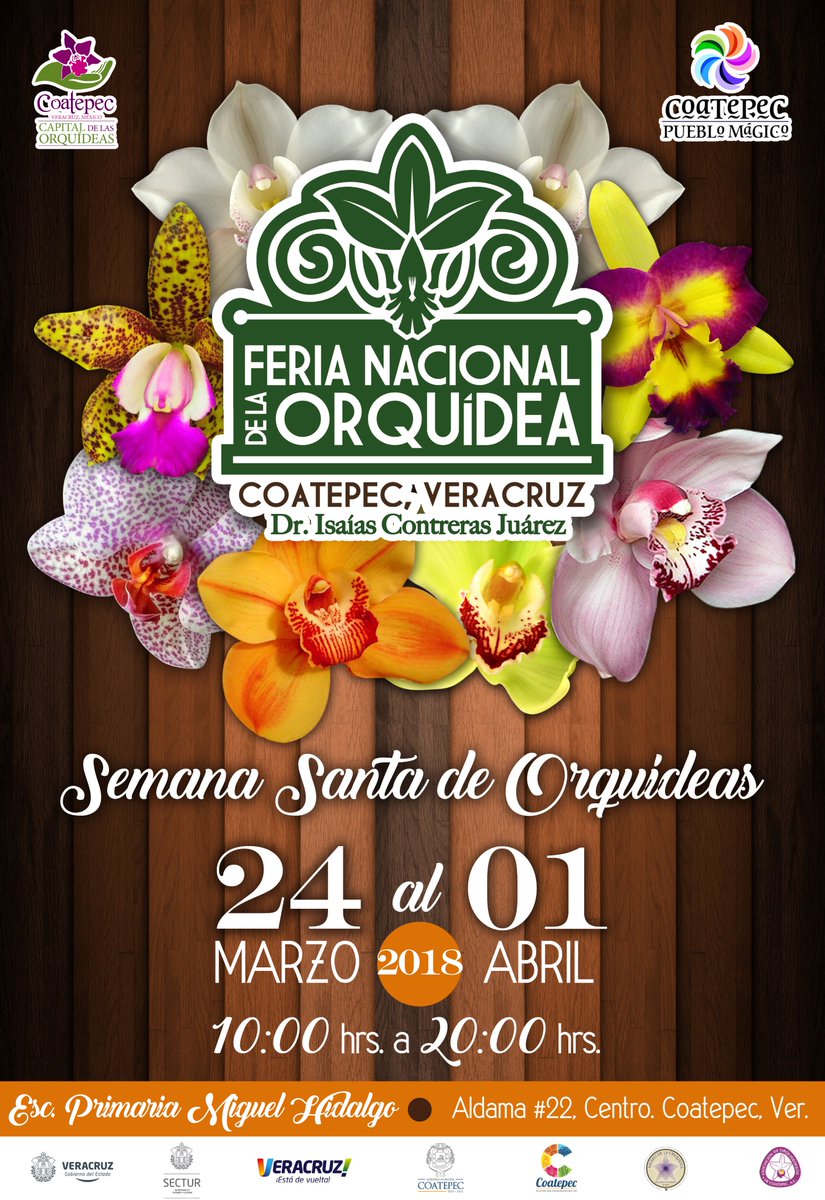 Gobierno Municipal de Coatepec tweet media