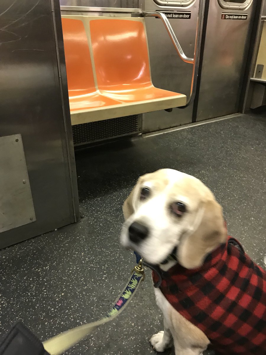 I went on the subway for the first time today