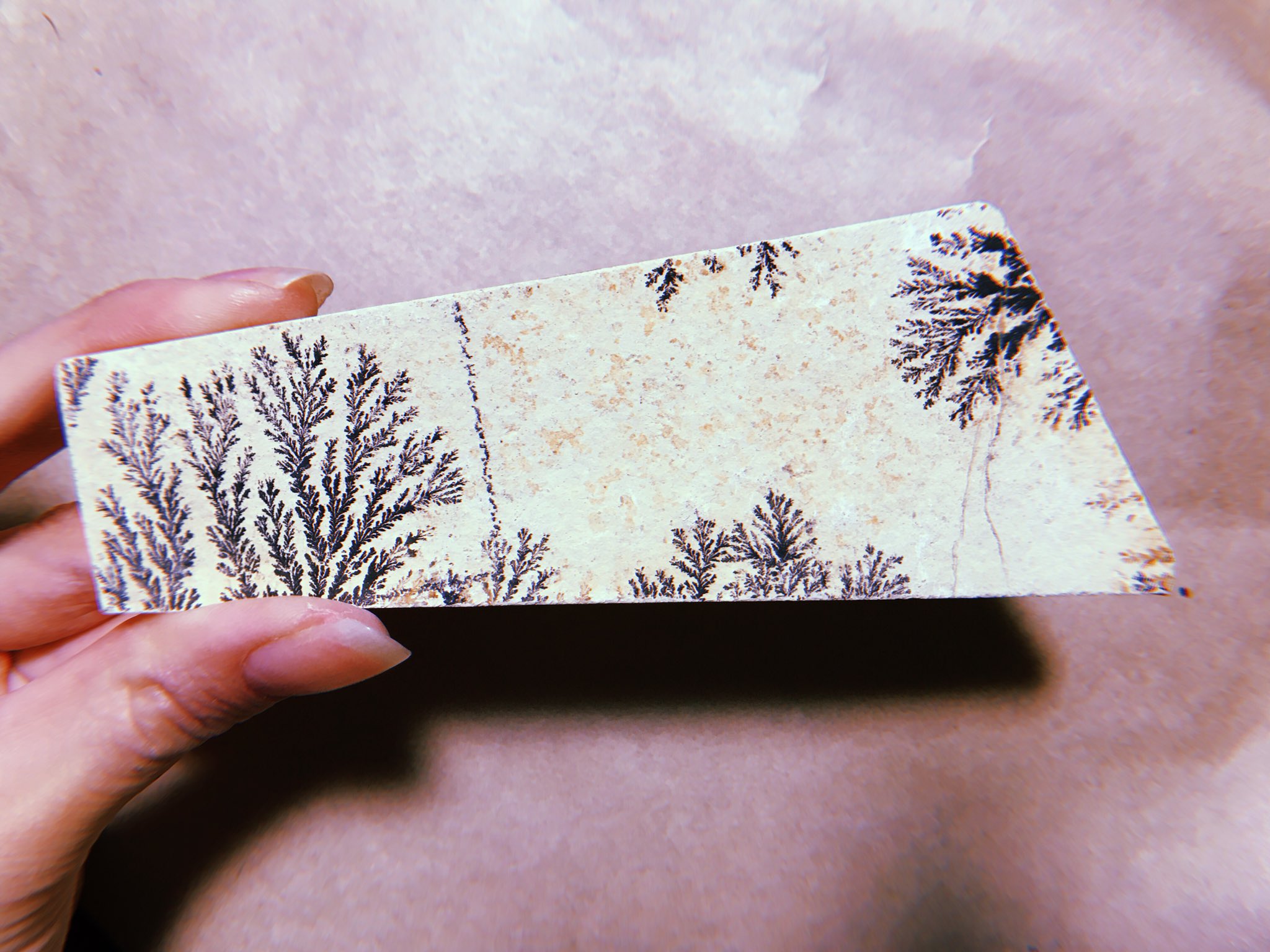 のむらはるか Twitter पर しのぶ石とガーデンクォーツが鉱物の中では特に好きなんですが石の中に風景が見えるところがすごい好き 眺めては行けることのない場所に想いを馳せてる T Co O0rtnmyfco Twitter