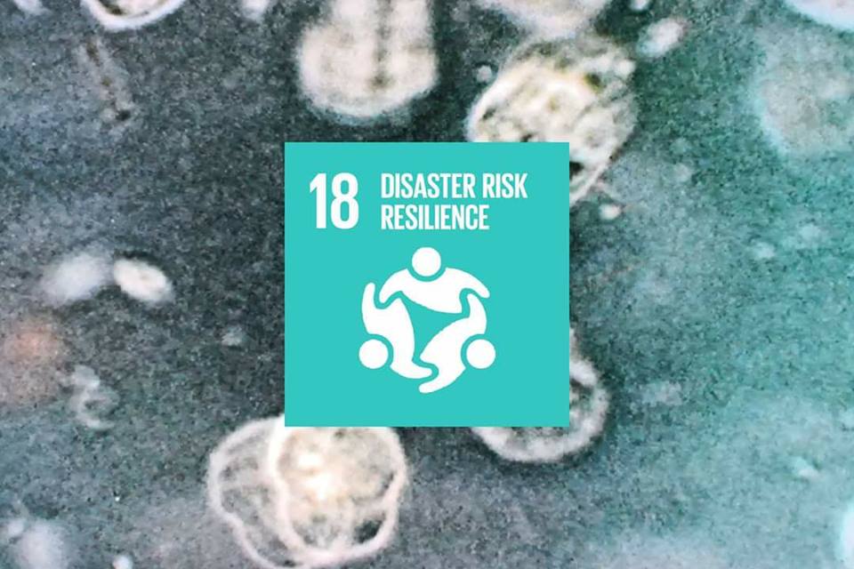 CCCRdg's tweet photo. This is an emergency action opportunity to promote SDG18 DISASTER RISK RESILIENCE for global disaster security w/ ref. to the #SendaiFramework for Disaster Response #SDGDRR #Talanoa4Ambition #ACT4SDGs https://t.co/zJ4fnqrWKk #urbanplanning #climatescience #NetworksofCities https://t.co/jc9t8uj5Fv