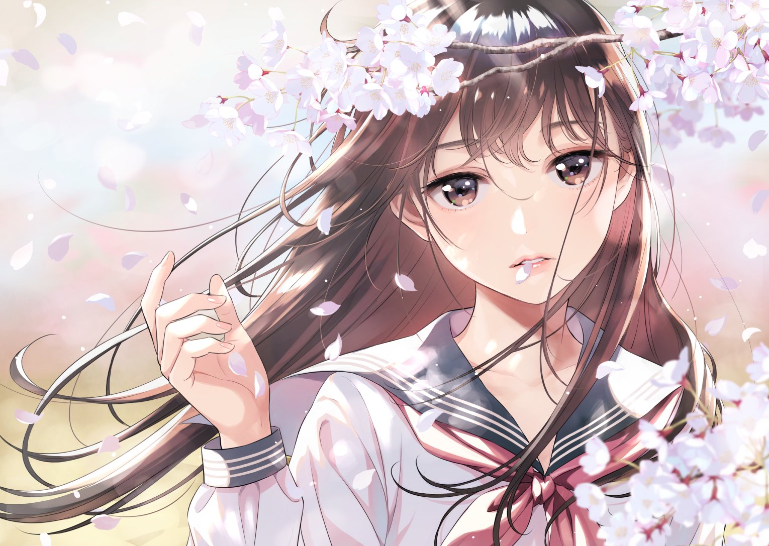 森倉円 11 21comitia138 の08ab 桜舞う季節 マール社 制服少女 School Girls Illustrations 描き下ろし作品 T Co 6sj3bocvfi Twitter
