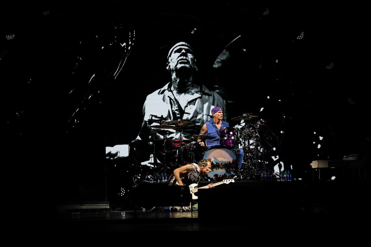 BrazilRHCP's tweet photo. Algumas fotos do show! #LollaBR🇧🇷 #RHCPnoMultishow #RHCPLolla
📷: Fabio Tito https://t.co/i5A4kVCK8z