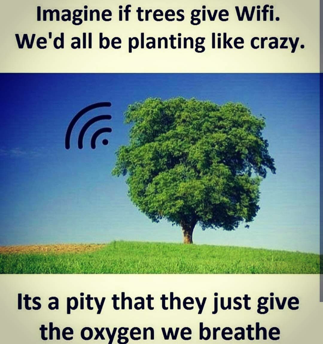 WakeupPeopIe's tweet photo. https://t.co/IfZocf2N55