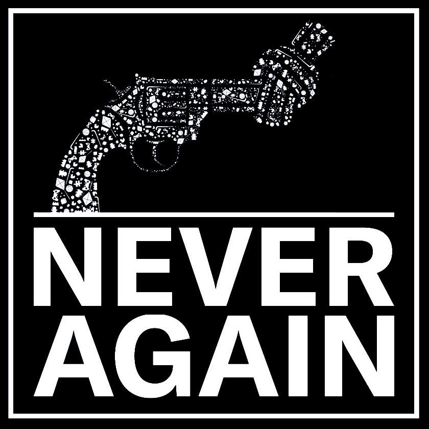 FrokenStegen's tweet photo. #neveragain #MarchForOurLives sign #marchforourlives https://t.co/MfEk8iTQSk