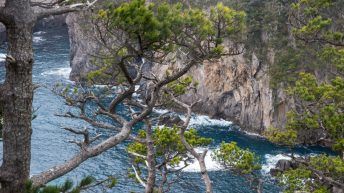 FallfishTenkara's tweet photo. Shikinejima Coastal Hike https://t.co/RhNm4py647 https://t.co/jsTLWZPxWS