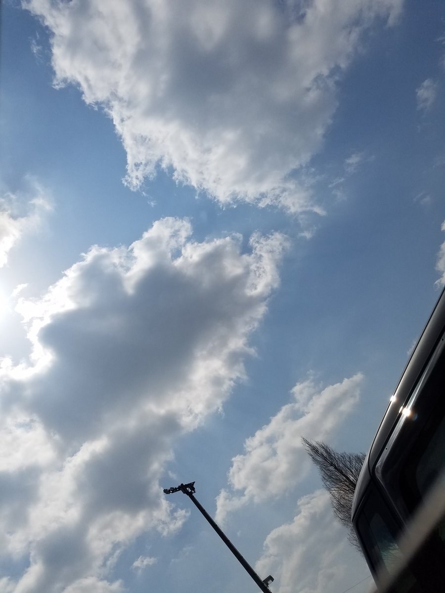 psycho_muratti's tweet photo. 娘ちゃんのテニスの試合☀🎾
今年の夏の大会で終わりだねー早かねーもー少しだねーがんばー💃
しかしよか天気ばい☀ビール飲みたい https://t.co/QhOh5N1asQ