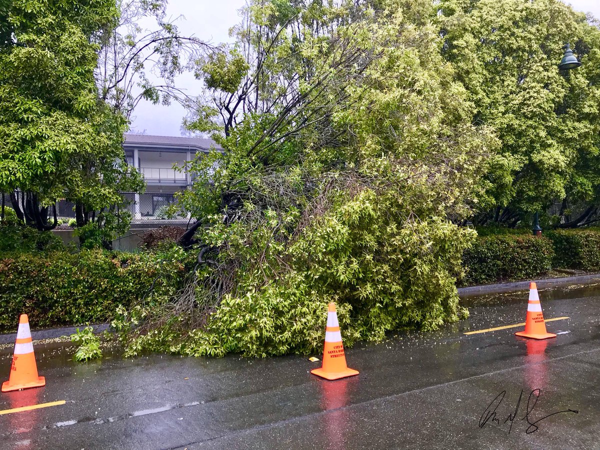 760Info's tweet photo. Yesterday patrolling #TreeDown on the 1100blk of Coast Village Circle in #Montecito. #SBCity Public Works responded. #SantaBarbara #FireOES #CityofSantaBarbara #SantaBarbaraCity #CAStorm #Montectio #Carpinteria @SBCityOES @RyderChristNews @CHP_SantaBarb @MichelBrewer https://t.co/F3Tf3sqIK8