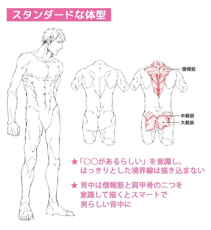palmie_oekaki's tweet photo. 男性キャラを描くとき、体型を意識していますか？(o'ω'o)
手足の筋肉のつき方だけでも、体型を表現できますよ♪
細身からアスリートまで❗男性キャラクターの体型の描きわけ方講座
https://t.co/8xLJGgCPpy https://t.co/sDIfQNBaA4