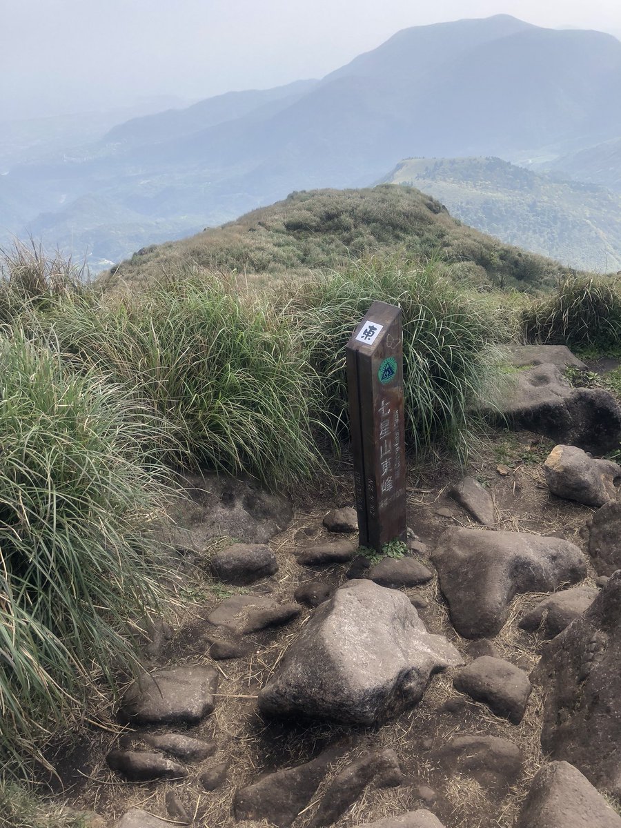 morgwei's tweet image. 