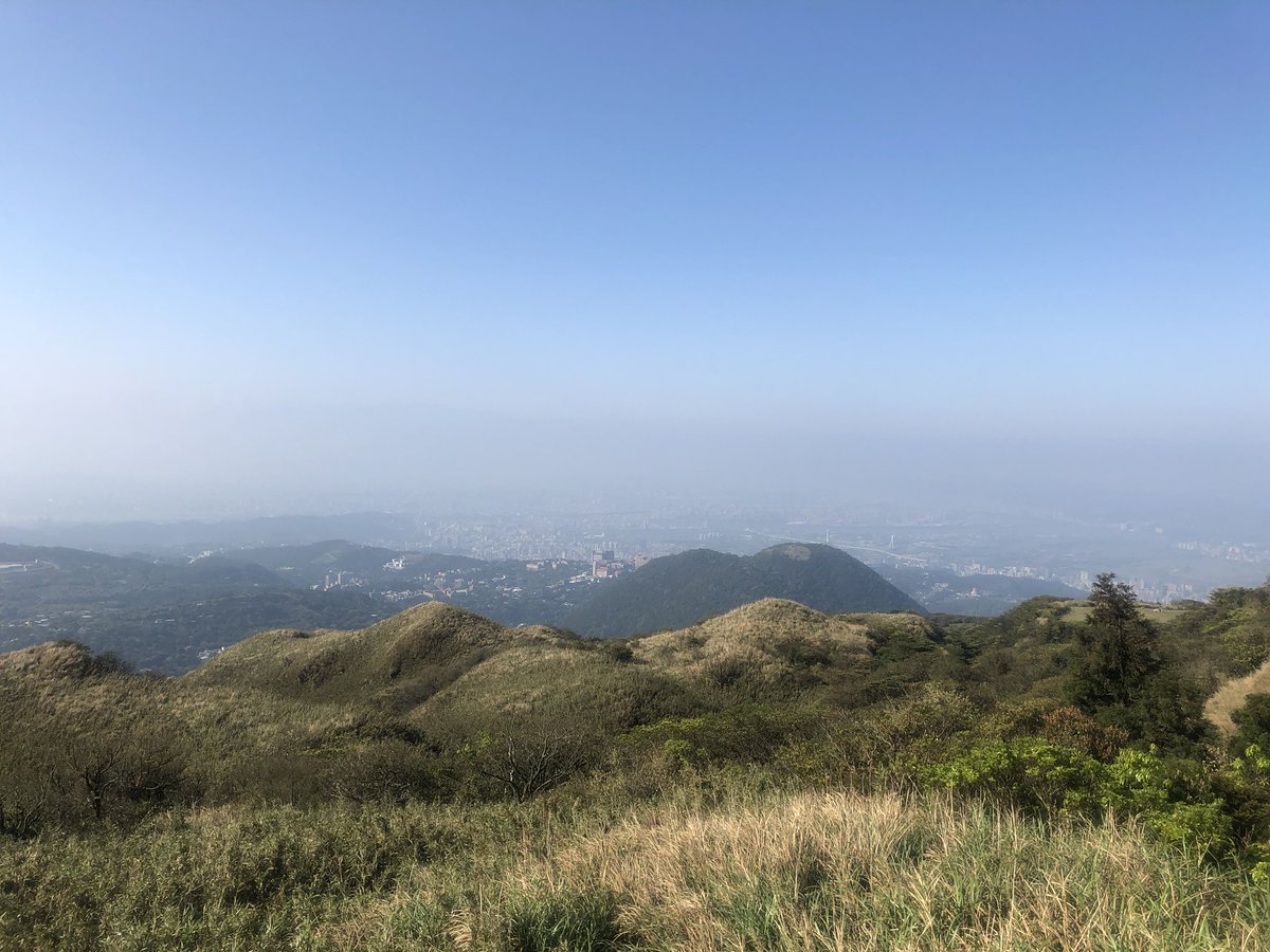 morgwei's tweet image. 