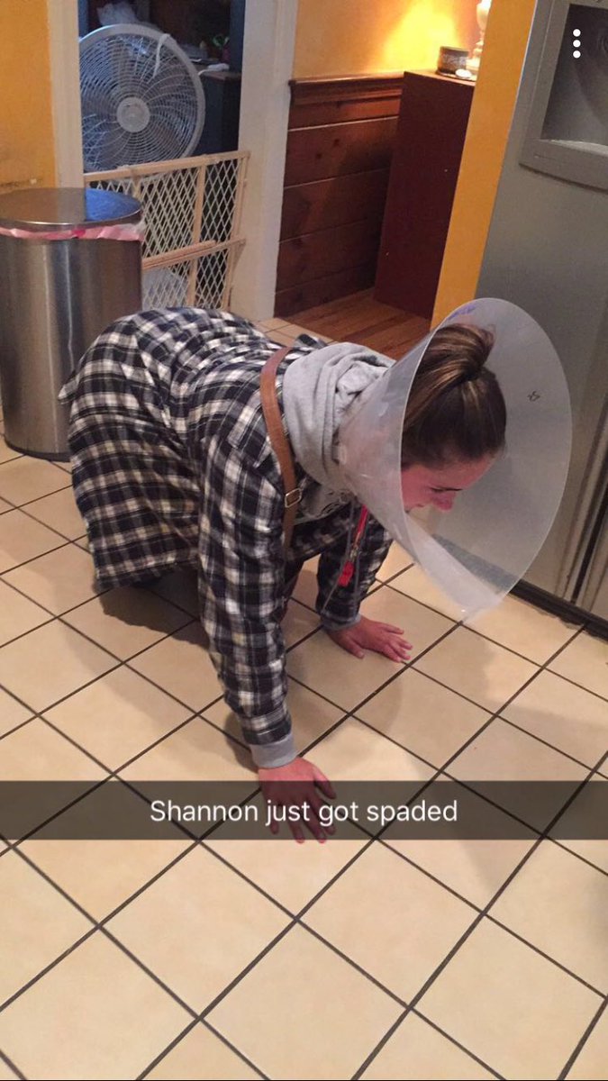 sheldonparent's tweet image. Happy bday to the BIGGEST pain in my ass I've ever had!! I procrastinated this post for you, happy 9th love you stew dube!!❤️