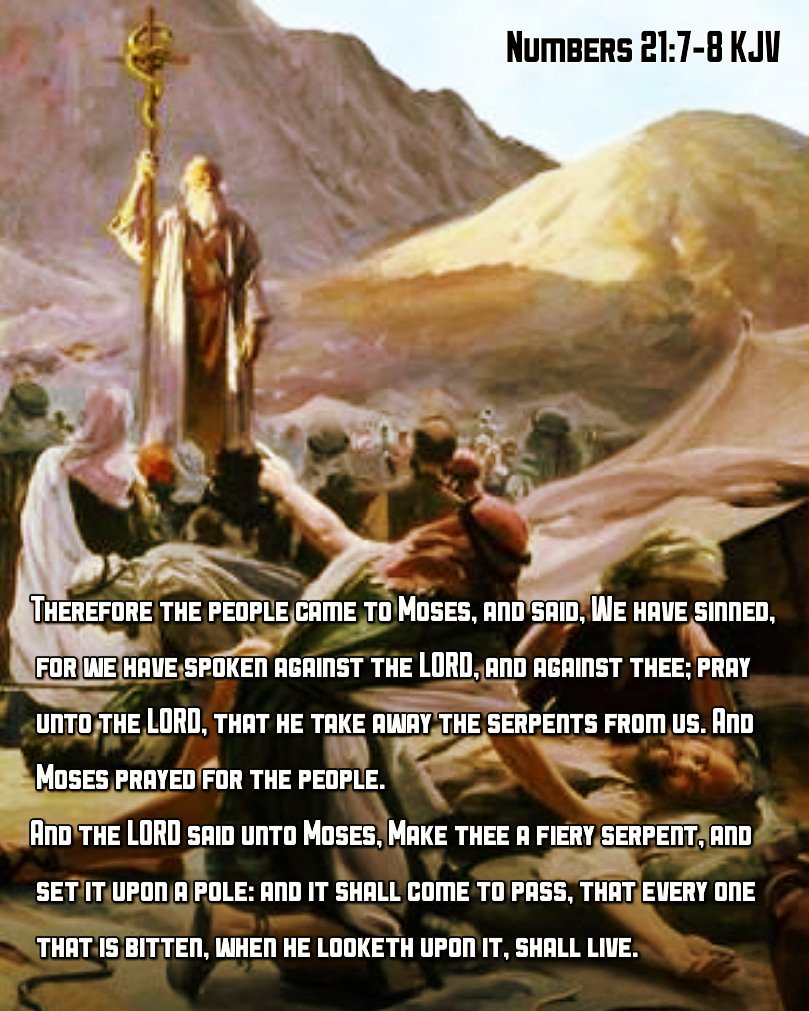 Bible Verses KJV on Twitter "Numbers 218 KJV And the LORD said unto