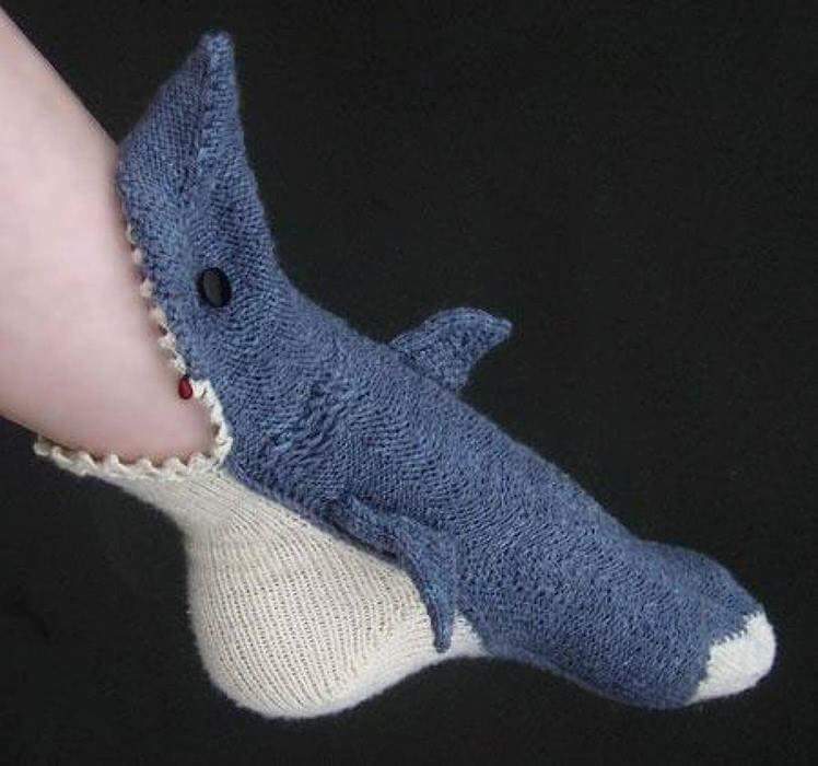 ciadillon's tweet photo. If @HBomb94 doesn't wear these socks is he really the shark master?? https://t.co/yP3JrCseBS