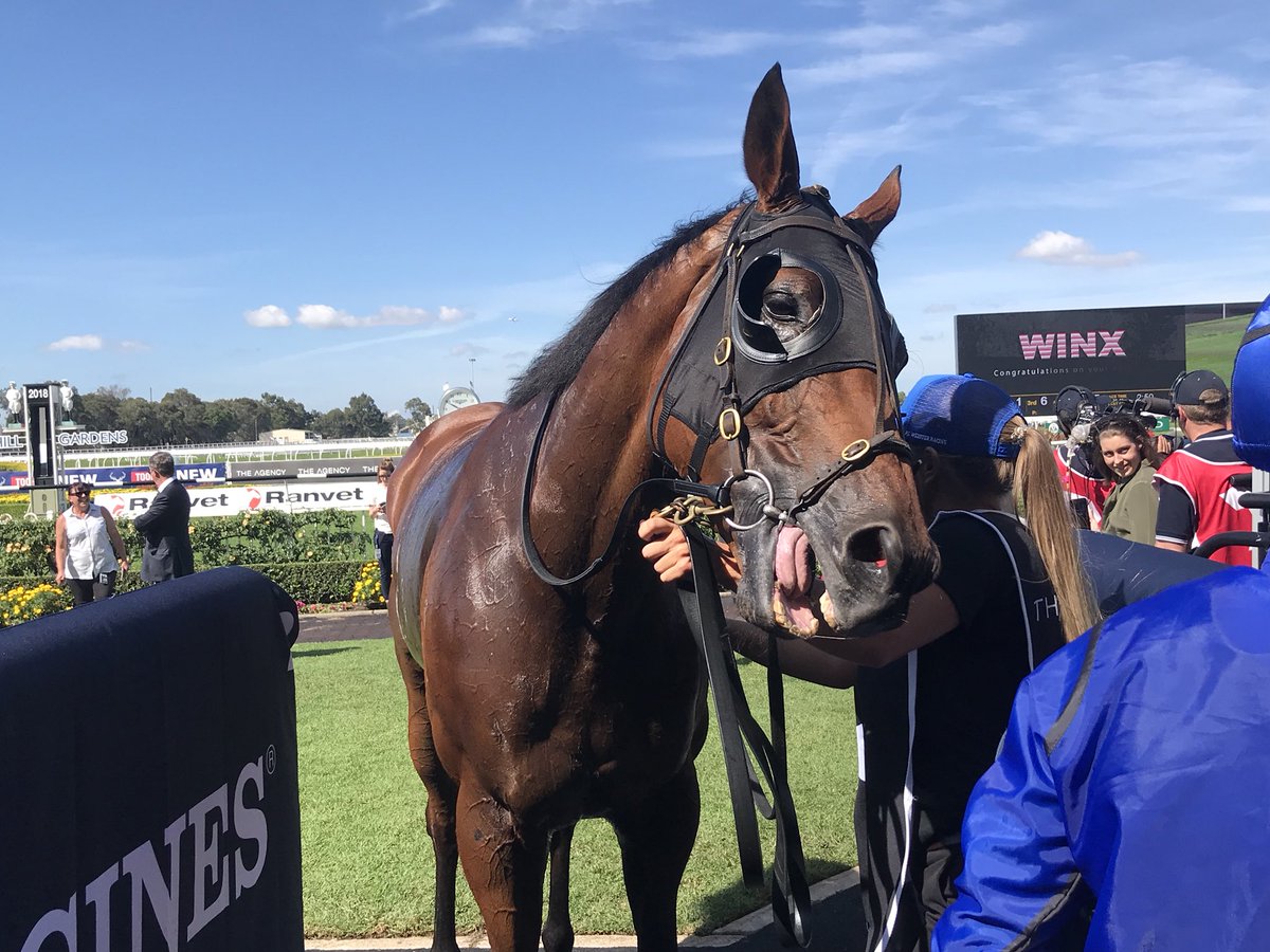BradJGray's tweet image. How good is this fella going! #happyclapper