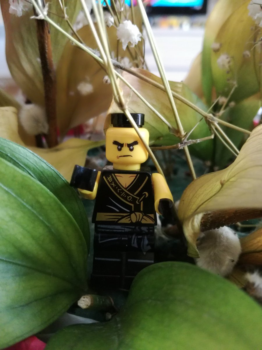 rain_wind_storm's tweet image. #crnogorac #lego #legoedition