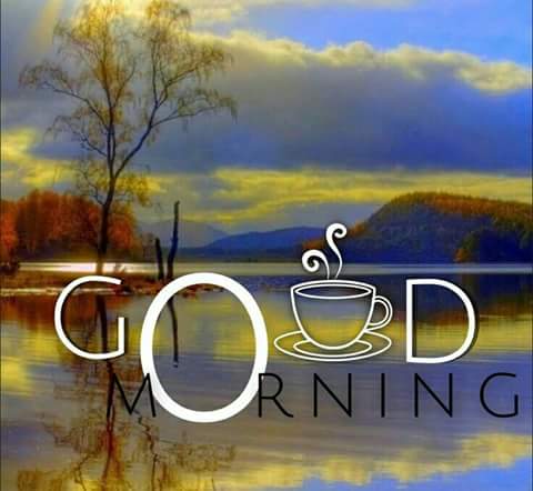 Good morning my friends