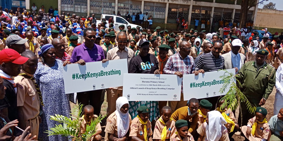 AlexKubasu's tweet photo. The over 800 tree seedlings planted today at Huruma Primary forms the founder number of our 1billion trees target to #KeepKenyaBreathing and #BringBackOurGreen https://t.co/NQifK4WzMe