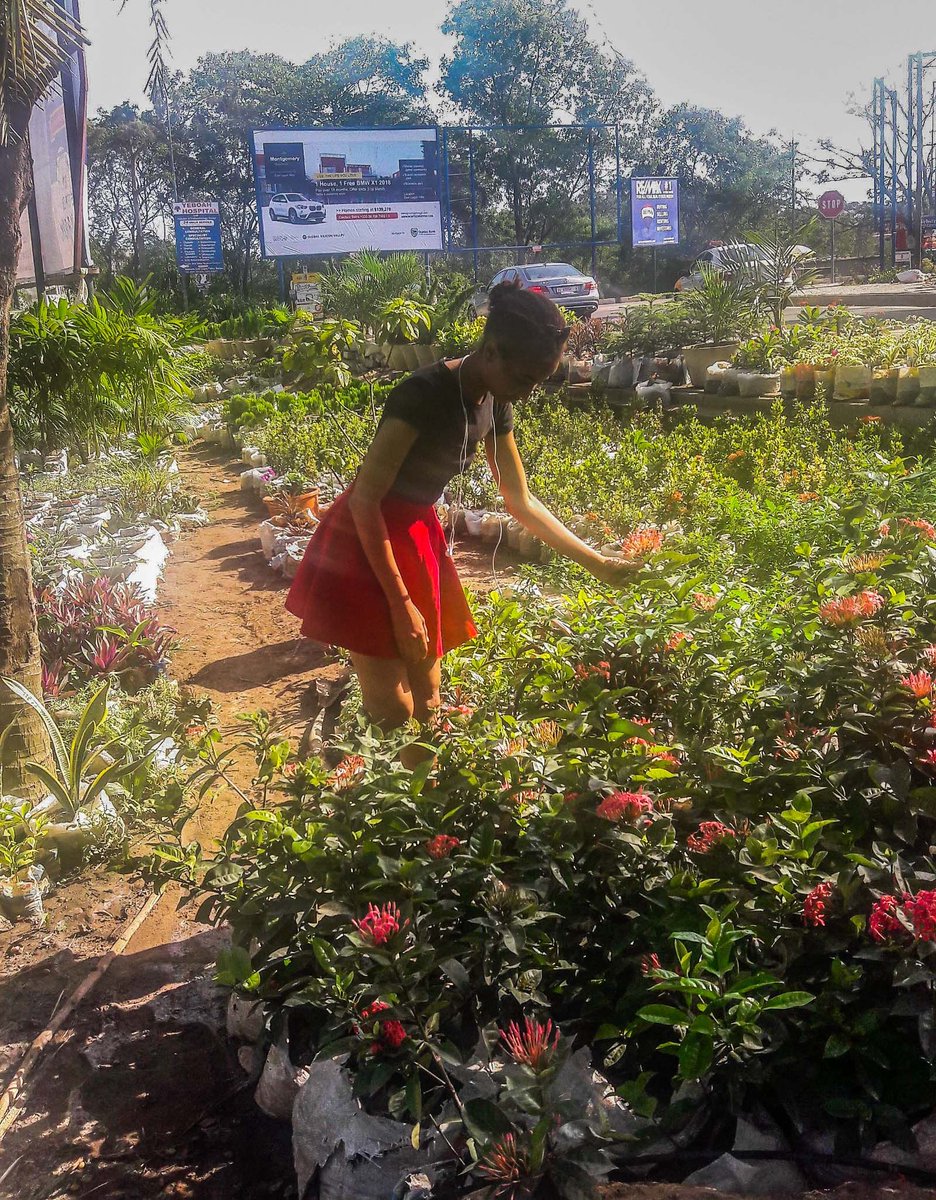 Ashesi's tweet photo. Looking to build a career in horticulture, senior, Amiineh Tabicca, spent her mid-semester break working with local florists in Accra. See what other students were up to over their time away from school: https://t.co/pOWm4BlYYs https://t.co/6IZrcaRAYz
