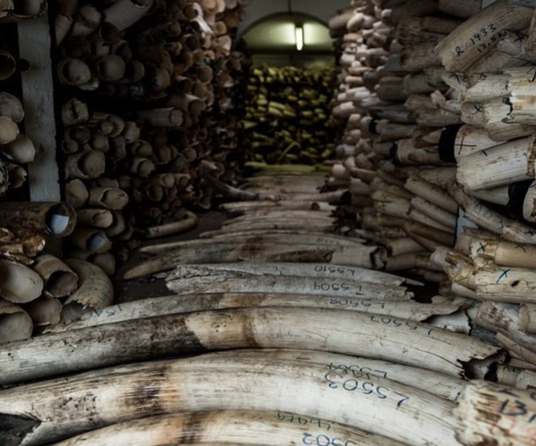 Adrian Steirn tweet media