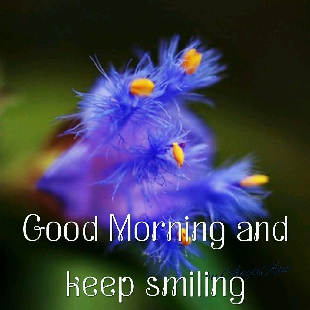 DongoJoshua's tweet image. 