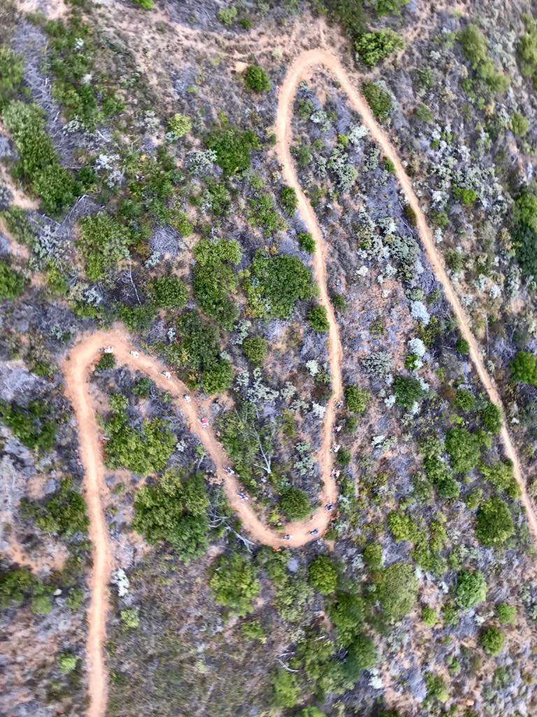 capeepic tweet media