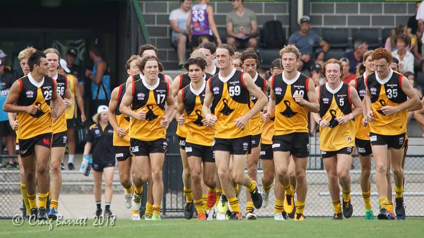 DandyStingrays's tweet photo. 1 more sleep to kick off the @TACCup season as we head to @GMHBA Stadium to take on last years premiers @GeelongFalcons. U16 curtain raiser at 11.00am, 18's boys at 2.00pm @AFLSoutheast #rossfaulkner @HighviewAcc #buildersacademyaustralia #beyourbestphysiotherapist #rayscave18 https://t.co/hjwBPbO3z8