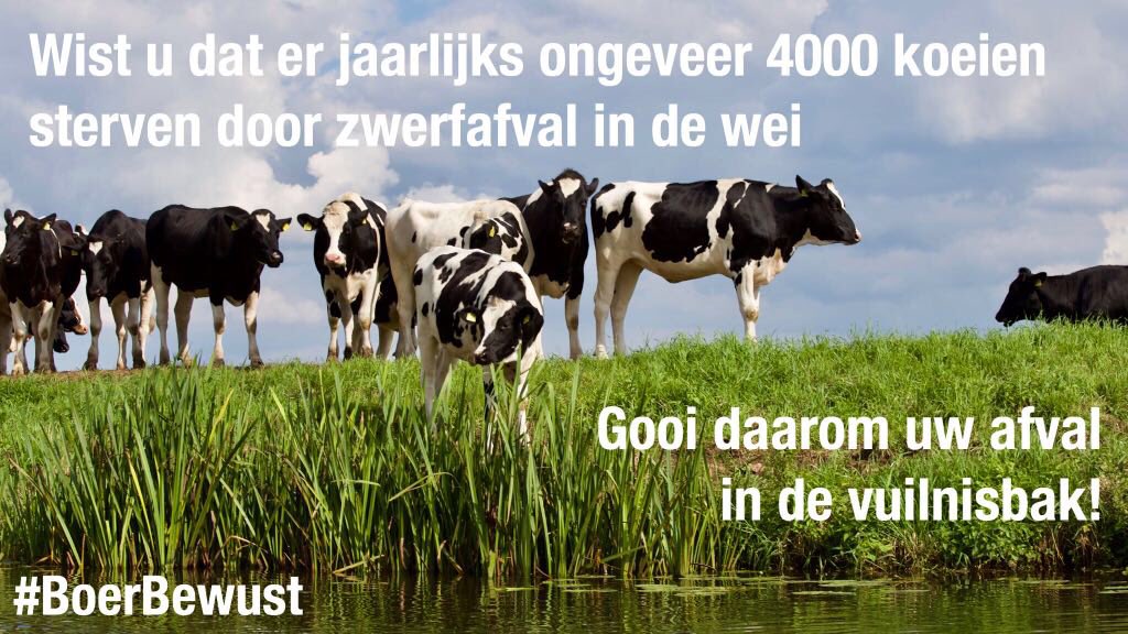 boerbewust's tweet photo. Elk jaar hebben gemiddeld 12.000 koeien in Nederland letsel doordat er stukjes van zwerfafval in hun maag belanden. Op deze ‘Landelijke Opschoondag’ doen wij dan ook een dringende oproep: gooi uw afval in de vuilnisbak en voorkom veel dierenleed! #LOD2018 #BoerBewust https://t.co/HM8k4GbGCl