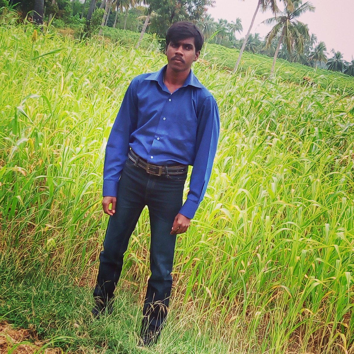 PCRam91 tweet picture