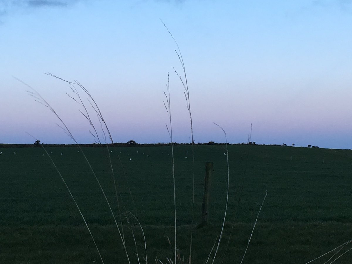 #stunningskies #eachnewday #EarlyRisersClub