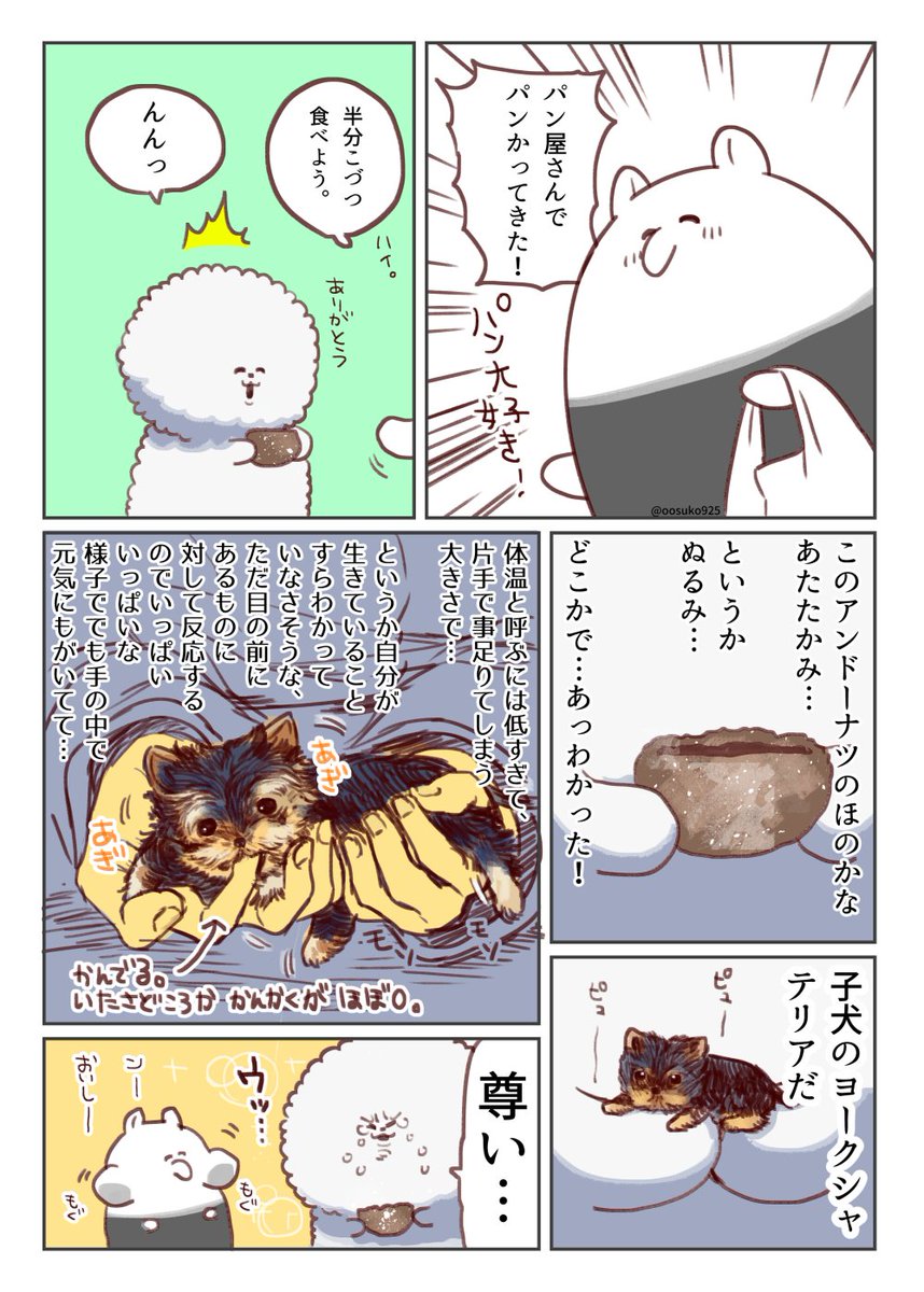 アンドーナツのぬくもり 