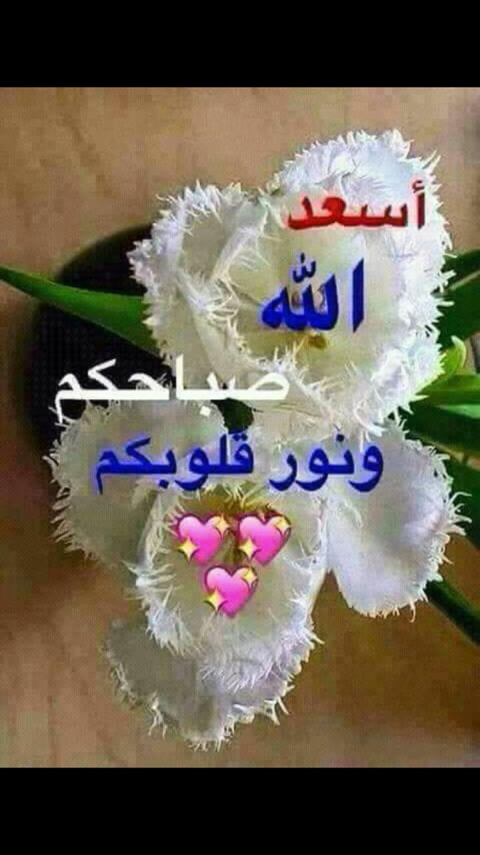 amlaml1977aml's tweet photo. https://t.co/XzHotHGkck