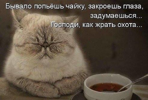 veronikasmolkov's tweet image. Чаем душу не обманешь🤣😂