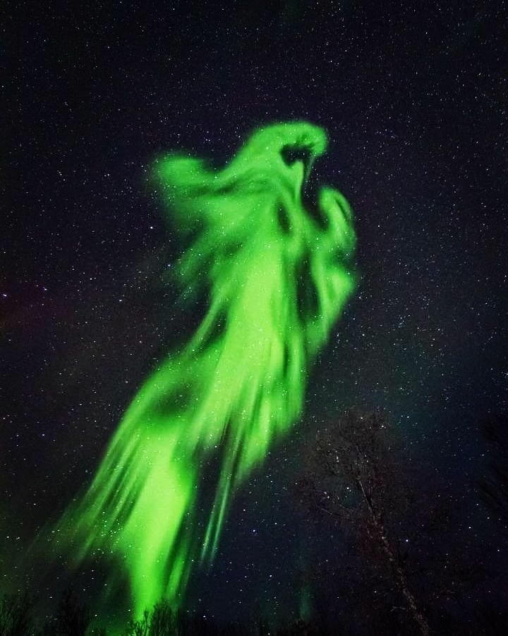 astrography__'s tweet photo. Dragon is Back π±π
#northernlights #aurora #auroraborealis #astrography__ https://t.co/RkpRgs5Lni