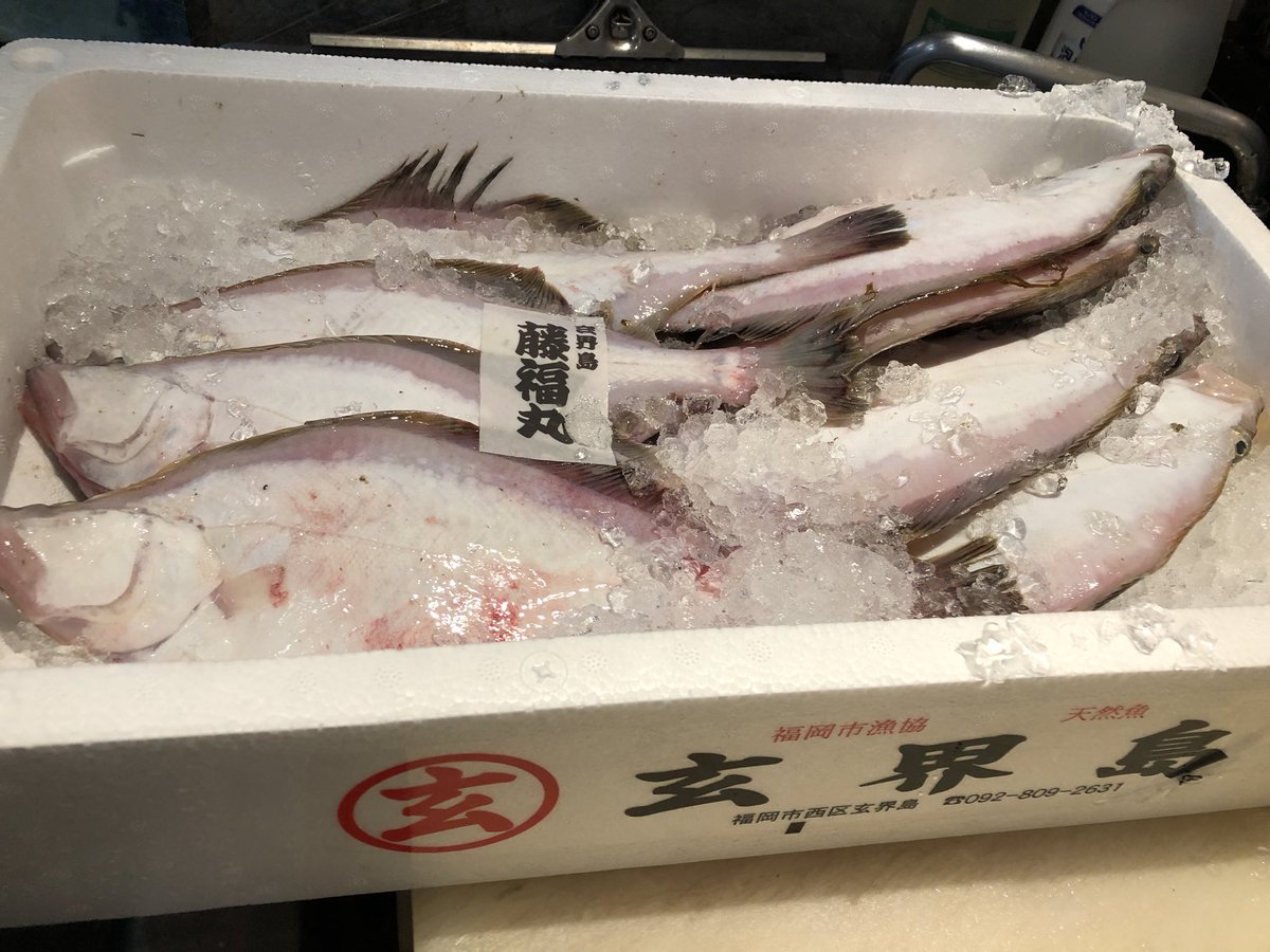 夢花 げんき堂 今日も玄界島からの直送便のお魚入荷しました 石鯛 あおな 平目 カレイです キツネカレイは煮付けと唐揚げに 刺し網漁が終わって籠漁になるので平目は今年は今月いっぱいで終わりです 玄界島 採れたてお魚 活き造り 鮮魚 刺身 夢花 げんき堂 今日も玄界島からの直送便のお魚入荷しました 石鯛 あおな 平目 カレイです キツネカレイは煮付けと唐揚げに 刺し網漁が終わって籠漁になるので平目は今年は今月いっぱいで終わりです 玄界島 採れたてお魚 活き造り 鮮魚 刺身