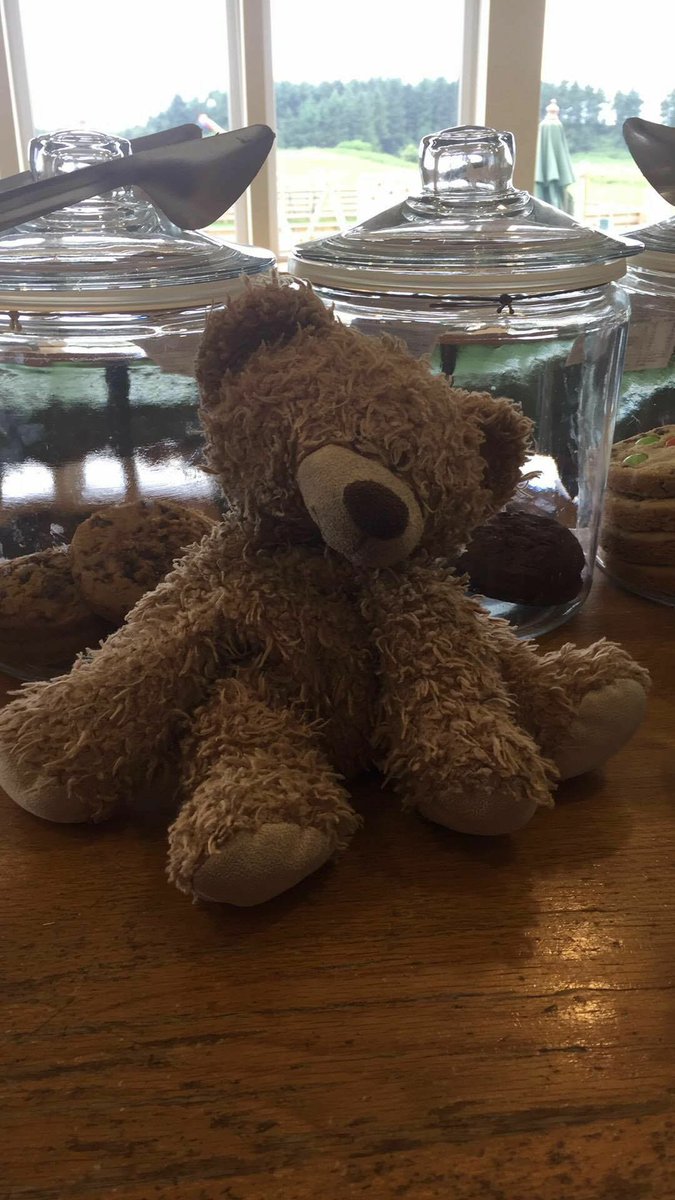 ScarboroughUK's tweet photo. If you’re on the prom in North Bay today and see this, a devastated 3 year old girl lost it on Thursday. Let us know if you find it! Please share! https://t.co/GDx13rCGmc