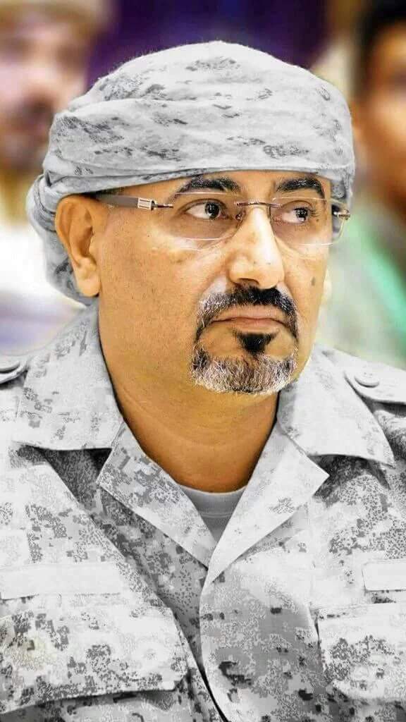 nip5VYIRrEsISlr's tweet image. ربي يحفظك يا اسد