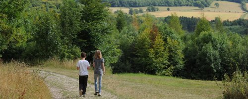 Visit Bucks (@visit_bucks) on Twitter photo Looking to do a beautiful #Buckinghamshire walk this weekend? Find out our favourites here: visitbuckinghamshire.org/article/buckin… #VisitBucks #Walking #EnglishTourismWeek #ETW2018 <a href="/VisitEngland/">VisitEngland</a> Looking to do a beautiful #Buckinghamshire walk this weekend? Find out our favourites here: visitbuckinghamshire.org/article/buckin… #VisitBucks #Walking #EnglishTourismWeek #ETW2018 <a href="/VisitEngland/">VisitEngland</a>