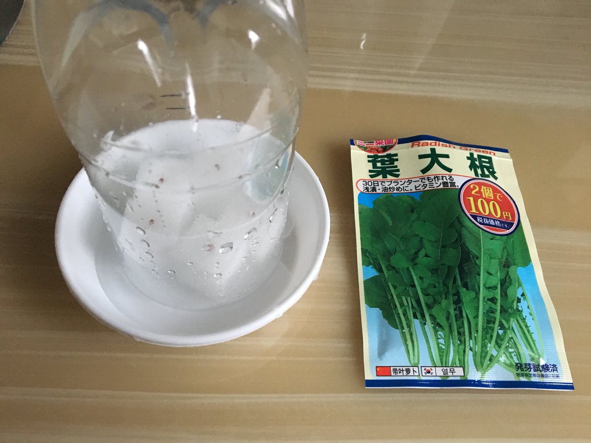 水耕栽培 スポンジが届いたので 今日から早速スポンジでバジルと葉大根を育てていこうと思います 葉大根の種は嫌光性なので日陰に置きます バジルの方は有効期限が去年の10月ですが 発芽率も気になるので丁度いい機会です T Co Yi8bmxxovi