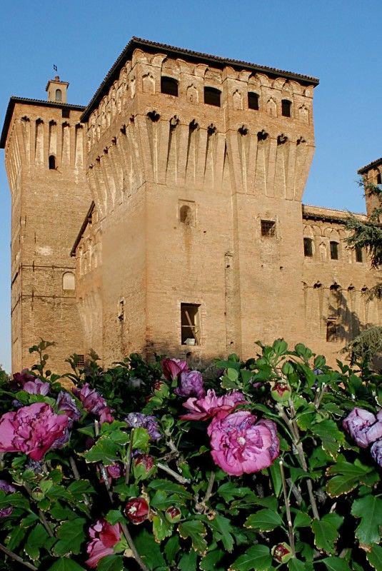 CasaLettori's tweet photo. Le parole sono difficili, se poi a scuola non ci vai sono più difficili ancora

#IlCompimentoÈLaPioggia @giorgia_lepore @EdizioniEO @Sabot_age @MassimoCarlotto 

#LuoghiEParole con @Robinson_Rep 

Castello delle Rocche Finale Emilia

@angelo_cennamo @Paolosantagata5 @i_pittore https://t.co/hbO28ZjBly