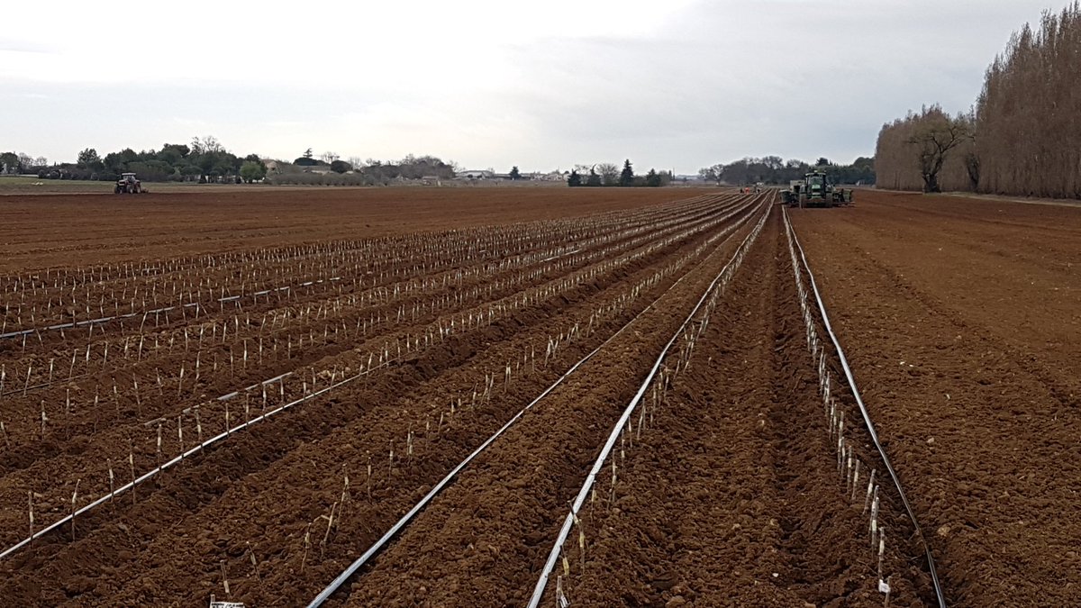 AloGrard's tweet photo. Plantation #Story(r) #Inored (cov)#grard https://t.co/v9QbDKmI3B