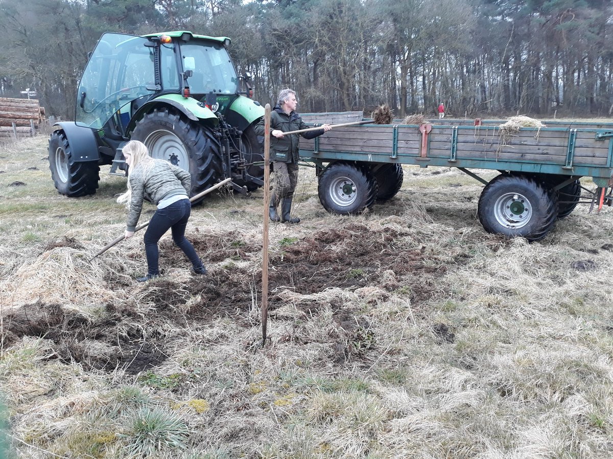 albertbroekman's tweet photo. Broeihoop aanleggen in het beekdal van de Slokkerd in samenwerking met @ivn_norg @LBDrenthe en vrijwilligers uit de buurt #Kop_van_Drenthe @staatsbosbeheer #ringslang #broeihoop https://t.co/extN2J70gh