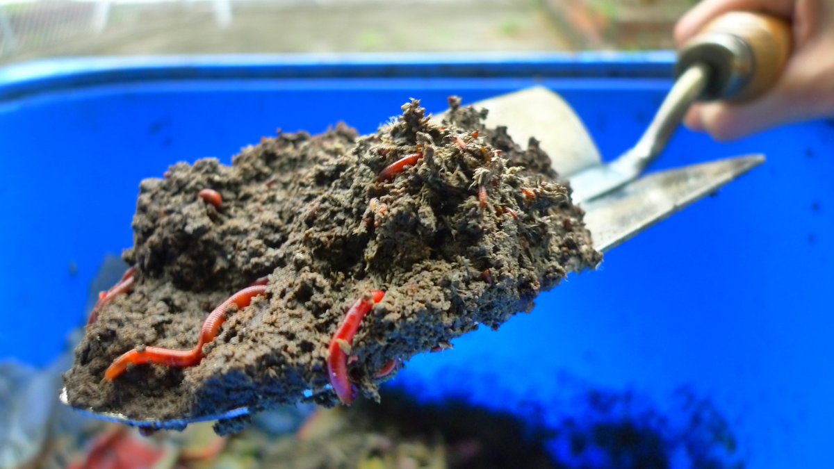 Bayan Energy (@bayanenergy) on Twitter photo 